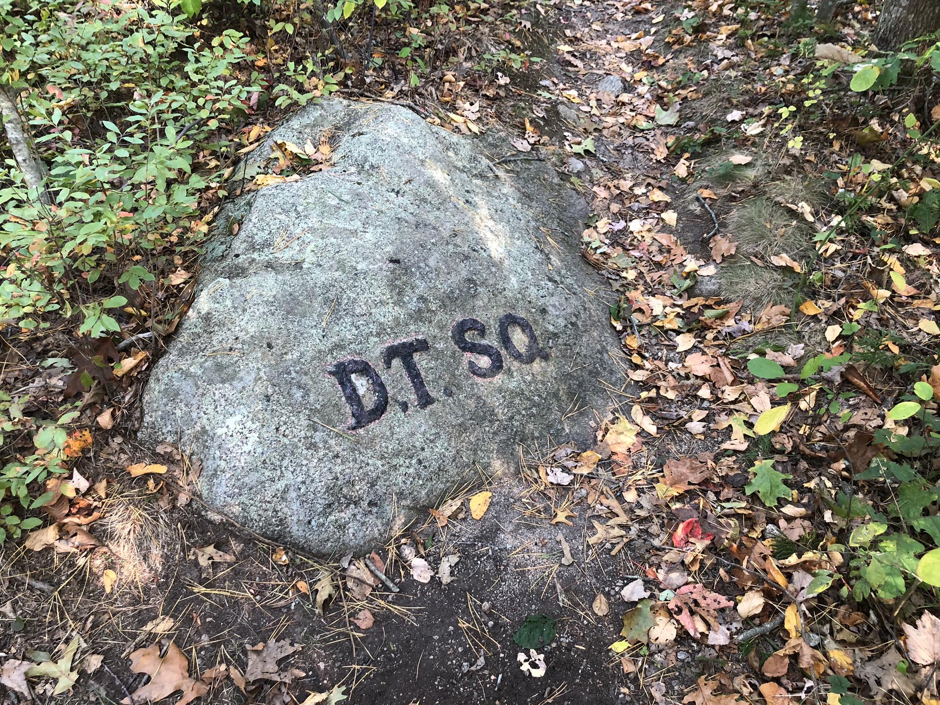 Gray rock with "D.T. SQ." carved, surrounded by fallen leaves on a forest floor.