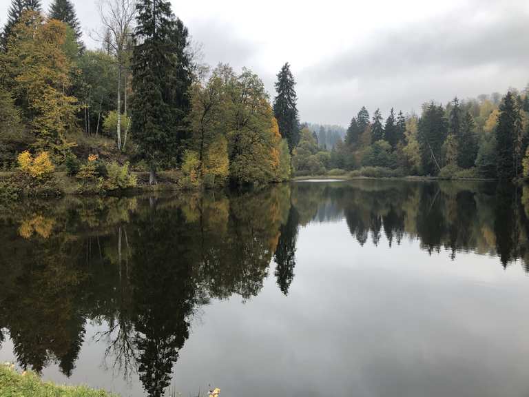 Neuer Teich, wandelroutes en hikes Komoot