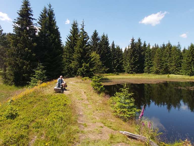 Wüster Teich Wanderungen und Rundwege komoot