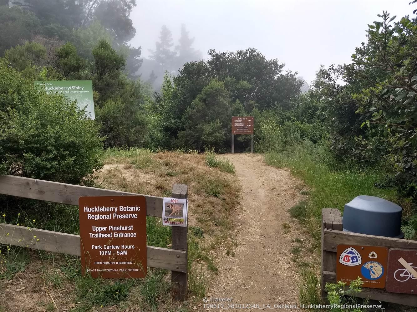 A dirt path leads into a foggy forest with trailhead signs.