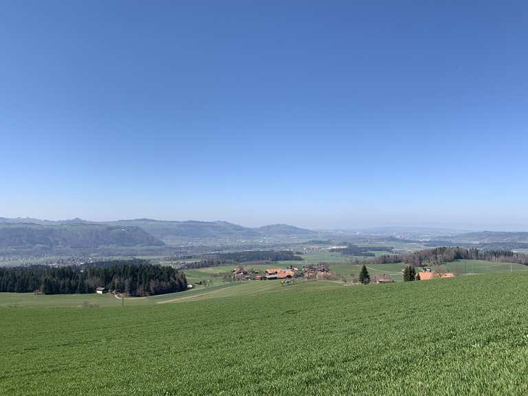 Ballenbühl Wanderungen und Rundwege komoot