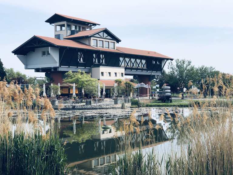 Haus der Deutschen Weinstraße Bockenheim an der