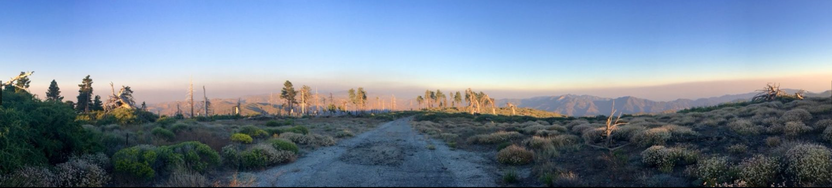 Panoramic view of a dirt road through a sparse, hilly landscape at sunset.