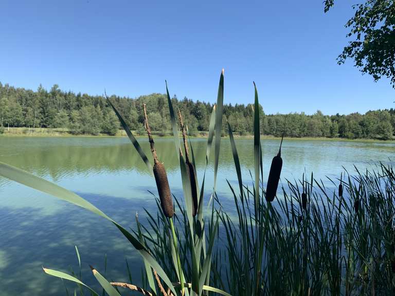 45+ Plothener Teiche Wandern, Sanna hat eine wanderung aufgezeichnet: