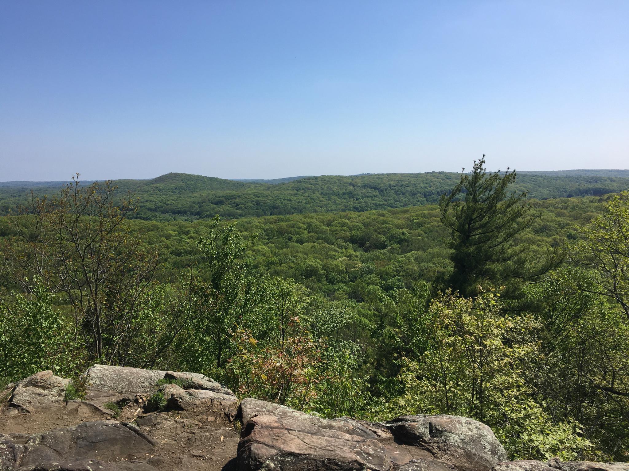 Sunny panoramic view of lush green forested hills from a rocky overlook.
