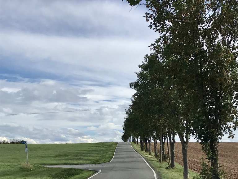 Zwischen Golk und Naundörfel Rennradfahren und Rennradtouren komoot