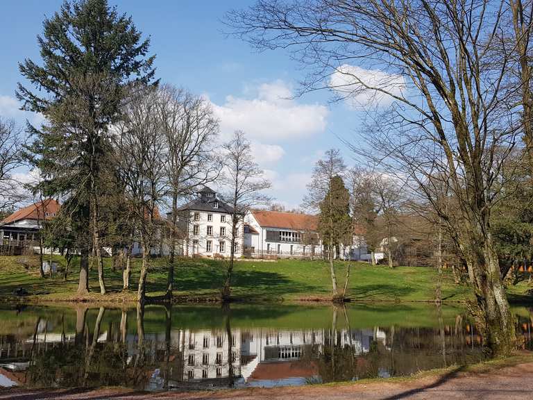 Hofgut Imsbach Tholey, St. Wendel Wandertipps & Fotos Komoot