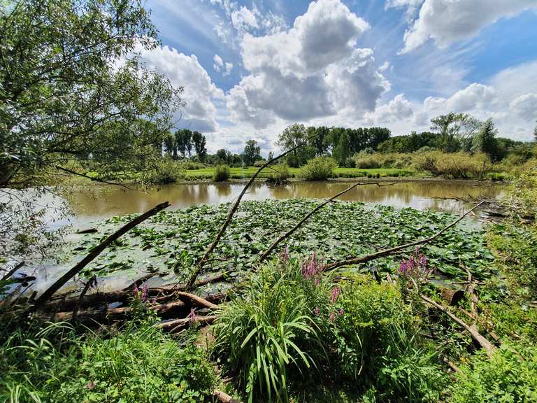 Auenblick in Urdenbacher Kämpen - Nordrhein-Westfalen ...