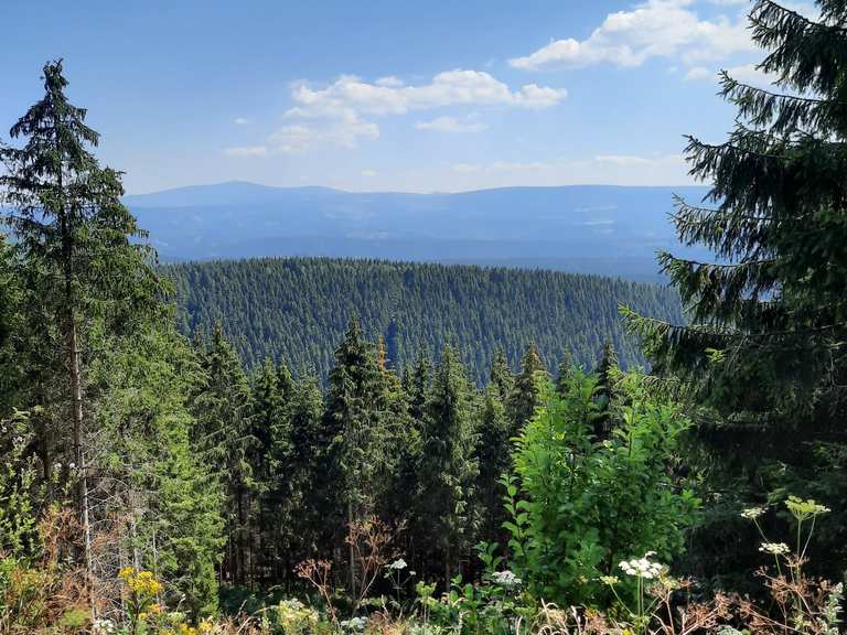 Oberer Hahnebalzer Teich Unterer Spiegeltaler Teich Runde von Altenau