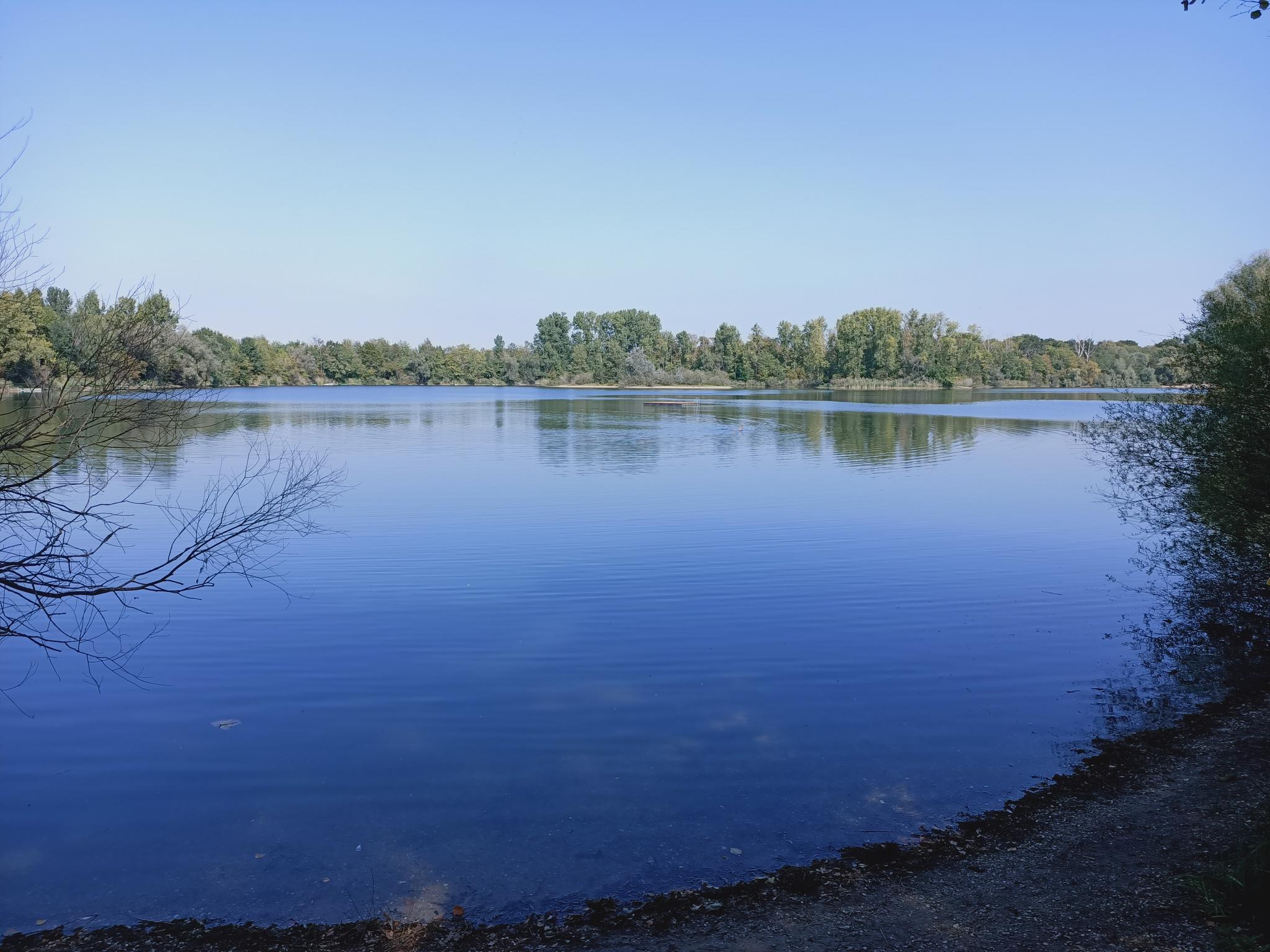 Campingplatz Lingenfeld : Radtouren Und Radwege | Komoot