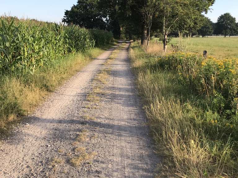 Aueweg - Bad Zwischenahn, Ammerland | Radtouren-Tipps ...