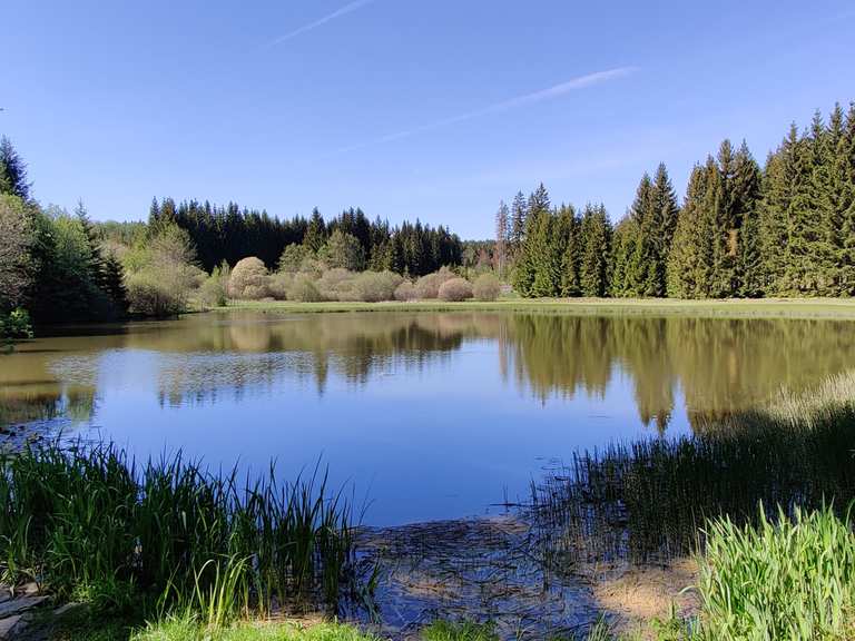 Schwarzer Teich Wanderungen und Rundwege komoot