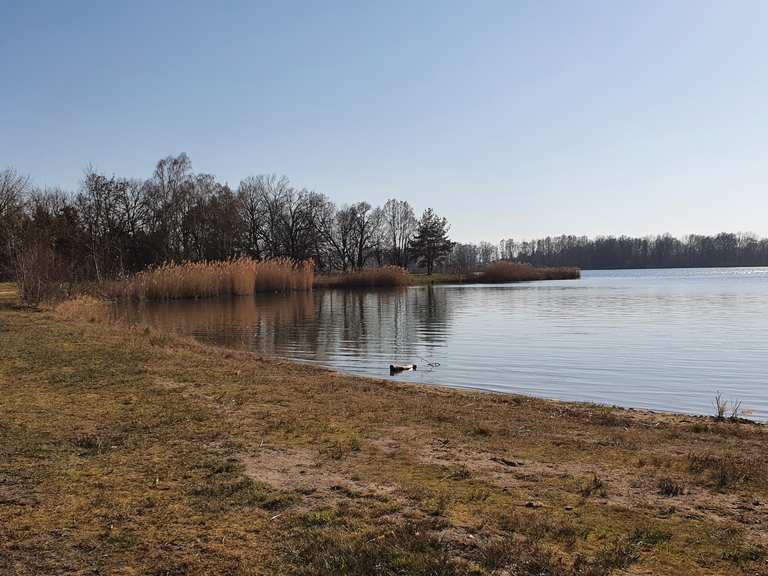 FKK Strand Kiebitzsee Wanderungen und Rundwege komoot