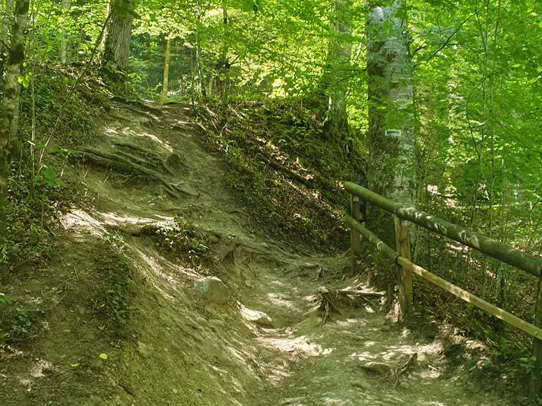 singletrail ravensburg
