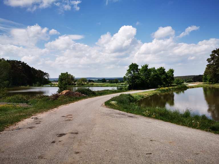 Teiche bei Rohensaas Wanderungen und Rundwege komoot