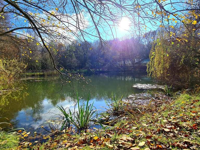 Waldteich Würnitz Wanderungen und Rundwege komoot