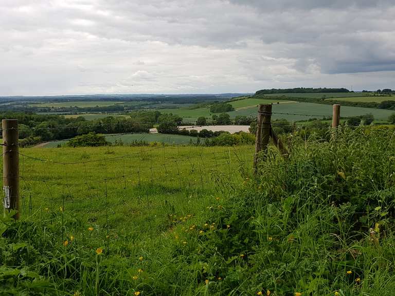 Chutes Causeway - Road Cycle Routes and Map | Komoot