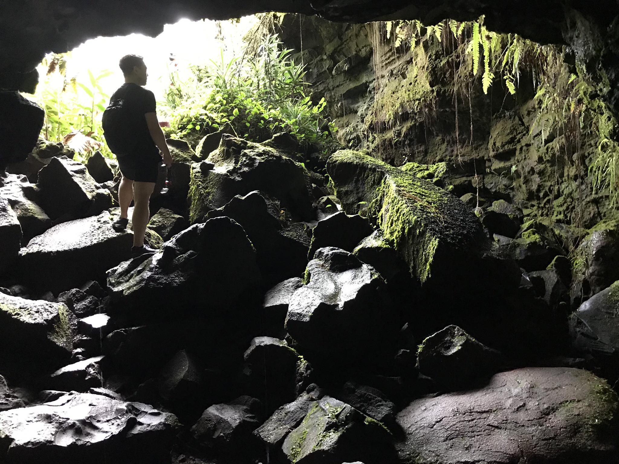 A person stands in a dark cave, looking towards a bright, mossy entrance.