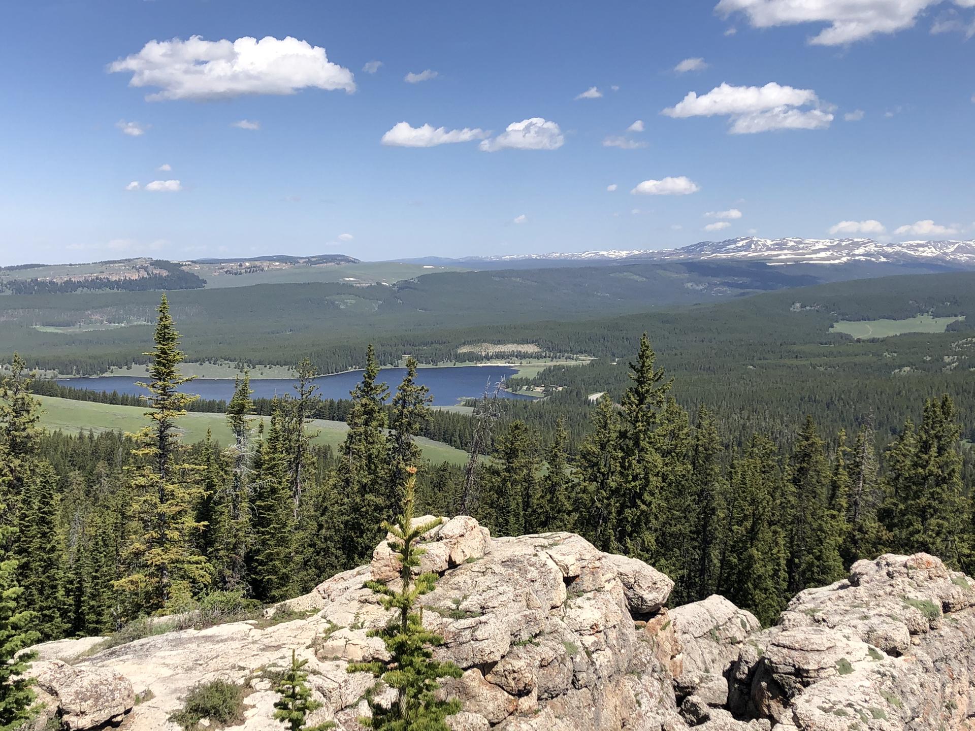 Panoramic view of a lake surrounded by forests, rocky foreground, and distant snowy mountains.