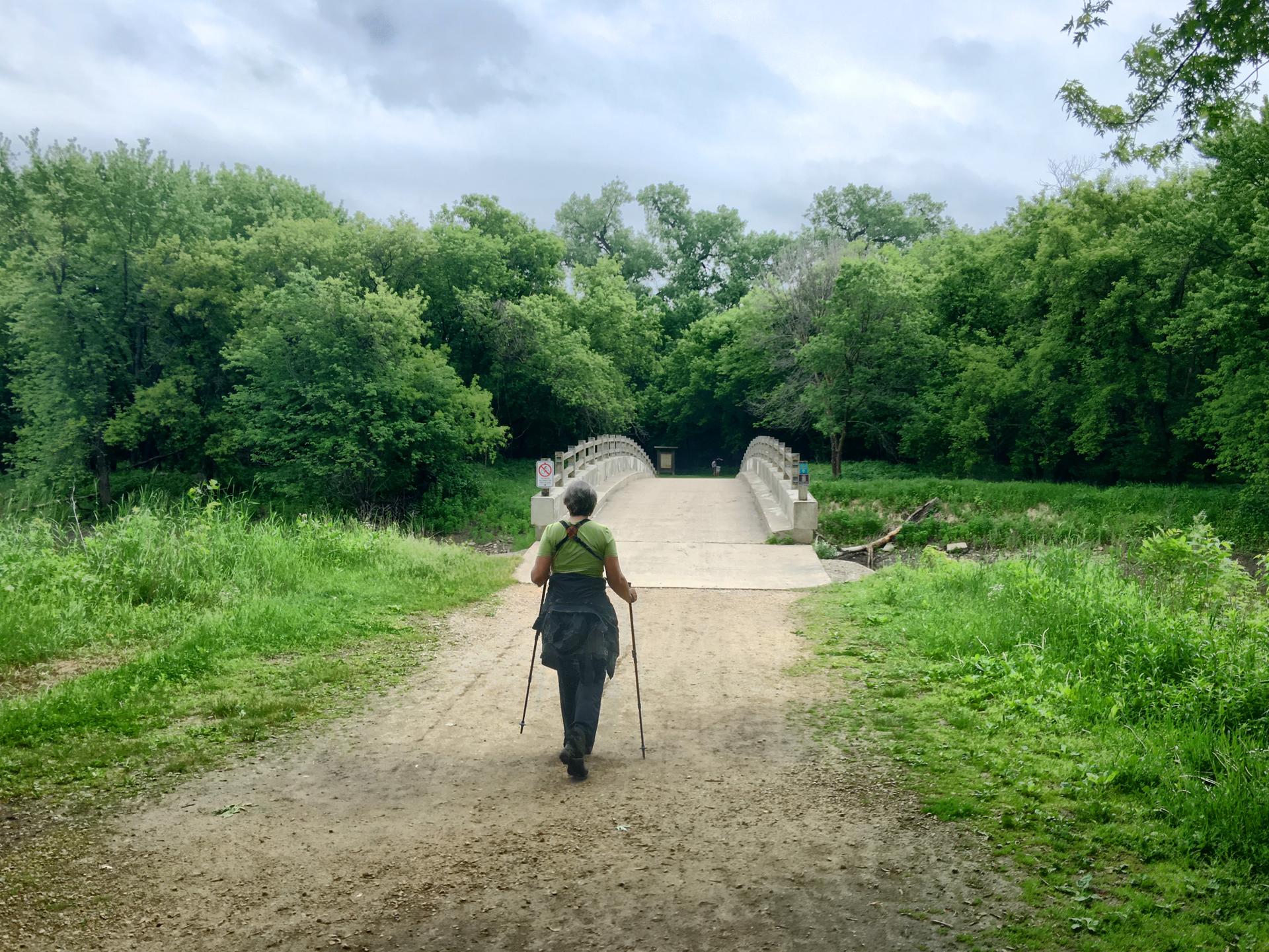 Person with trekking poles walks towards a concrete bridge through green woods.