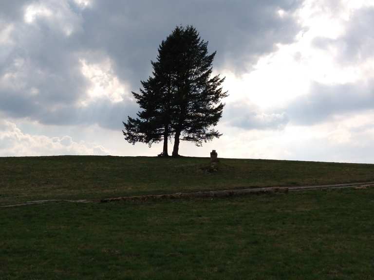 Abtsteinacher Höhe! „Neue Aussicht“ Runde von OberAbtsteinach