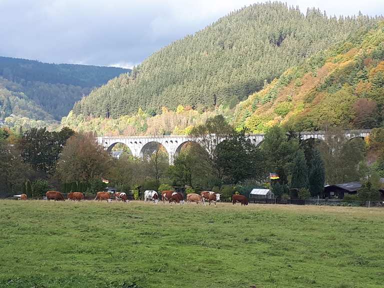Graf Stolberg Hütte – Diemelquelle Runde von Willingen (Upland ...