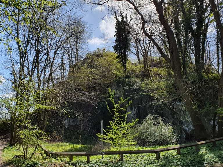 Kalkberg 91m Wanderungen und Rundwege komoot