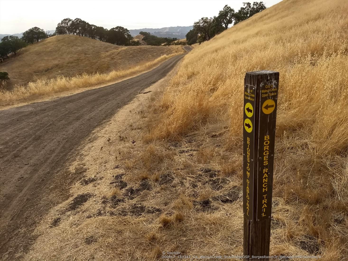 Trail sign beside a dirt road winding through golden hills.