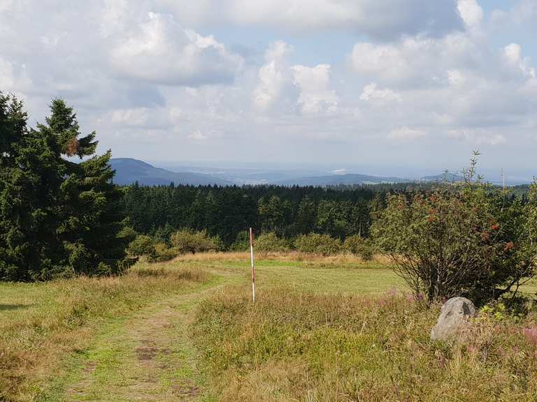 Ausblick Holzberghof Runde von Frankenheim/Rhön MountainbikeTour