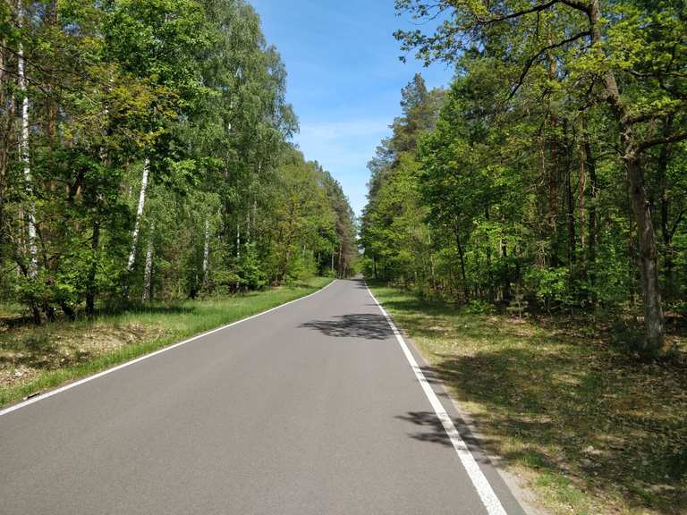 Rosenbeck - Eichhorst - Road Cycle Routes and Map | Komoot