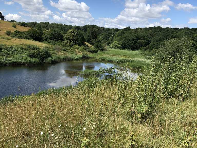 Giesener Teiche MountainbikeTouren und Trails komoot