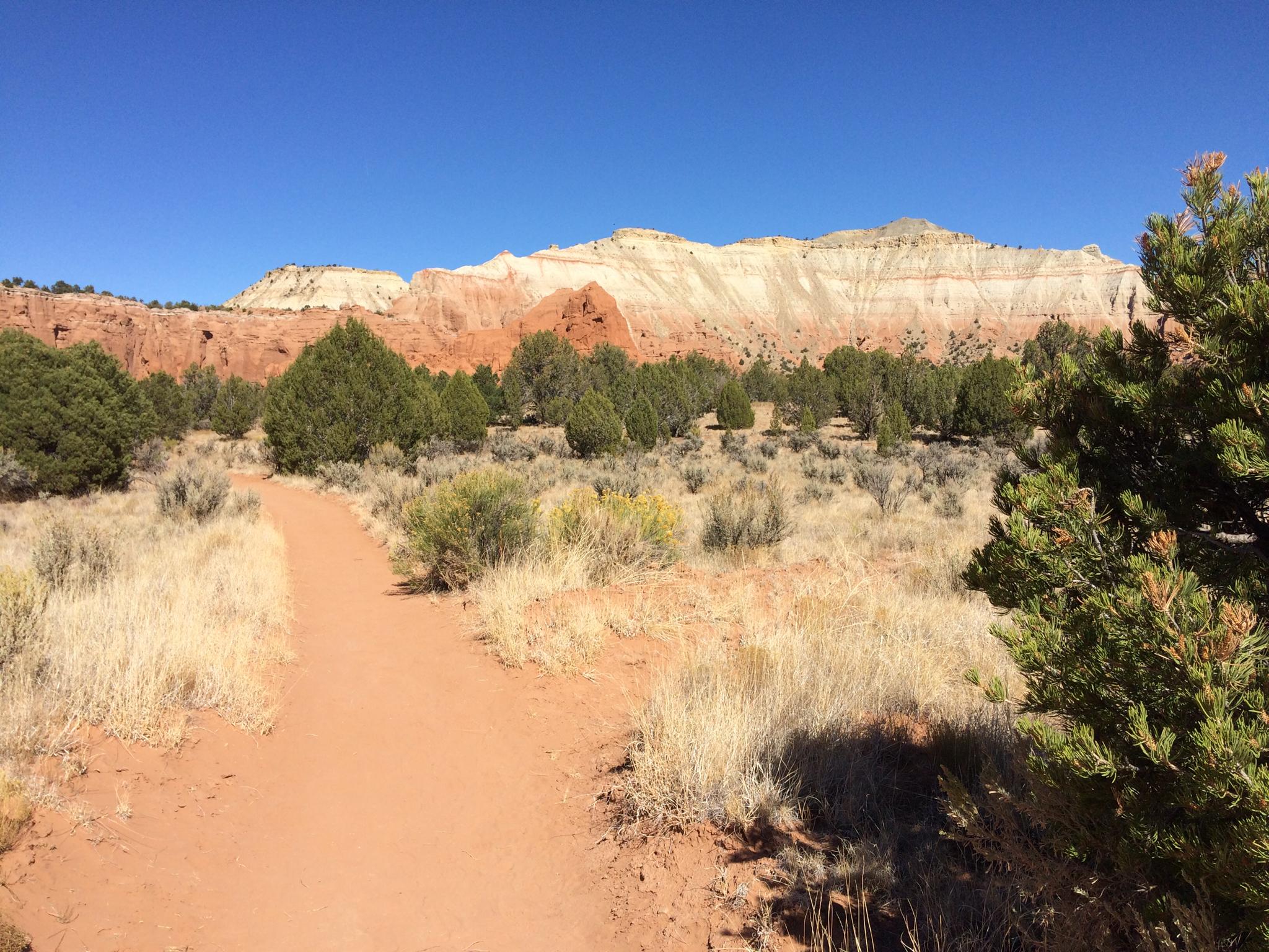 Dirt path through desert shrubs, leading to distant layered rock formations.