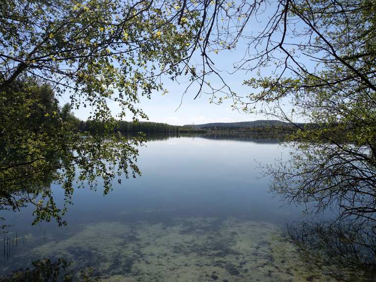 Klausensee MountainbikeTouren und Trails komoot