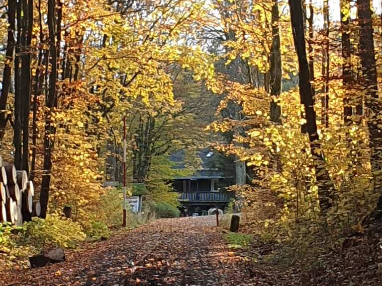 Waldgasthof Hubertushöhe - Steinwiesen, Kronach | Wandertipps & Fotos