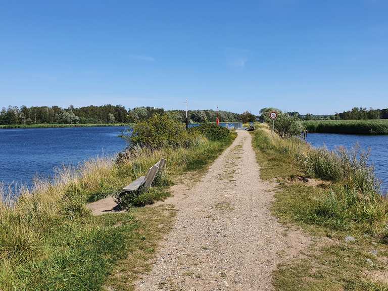 Schellbruch MountainbikeTouren und Trails komoot