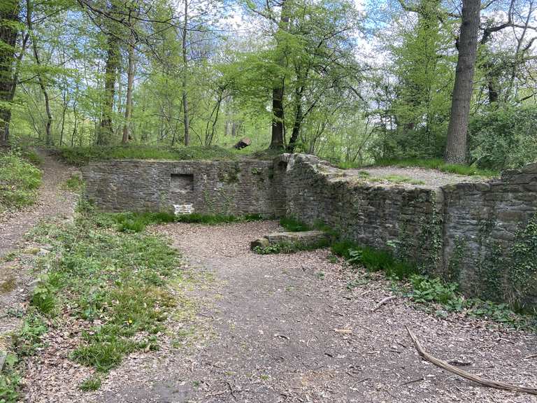 Burgruine Rodenberg MountainbikeTouren und Trails komoot