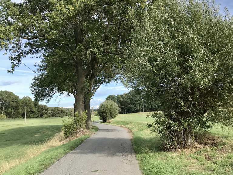 Zwischen Golk und Naundörfel Rennradfahren und Rennradtouren komoot