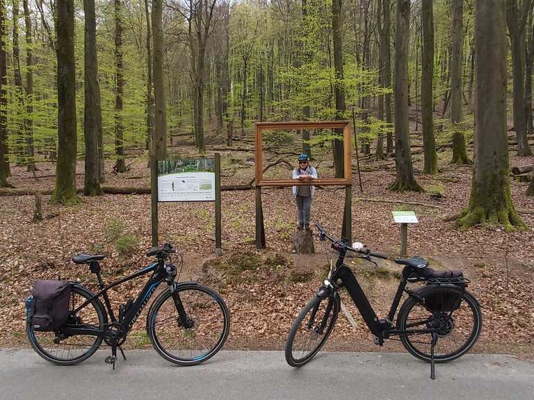 Wald im Blick Bad Iburg, Osnabrück RadtourenTipps