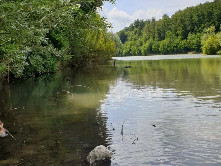 Neumühlsee GnadentalerStausee Runde von Obersteinbach Wanderung