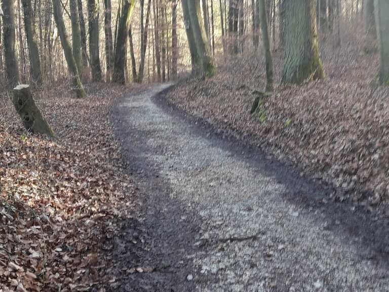 Föllbachschlucht – Schöne Aussicht Loop from Wolfschlugen | hike | Komoot