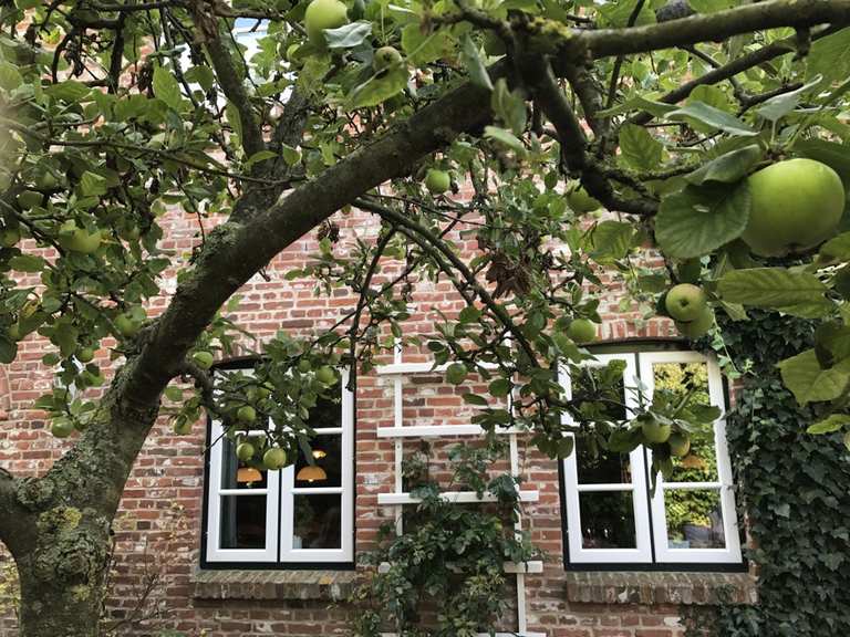 Café im Apfelgarten Oldsum, Nordfriesland Radtouren