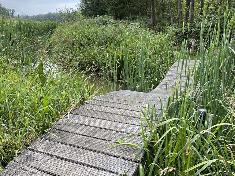 Houten brug de Wissel Limburg, Niederlande Wandertipps &amp; Fotos Komoot