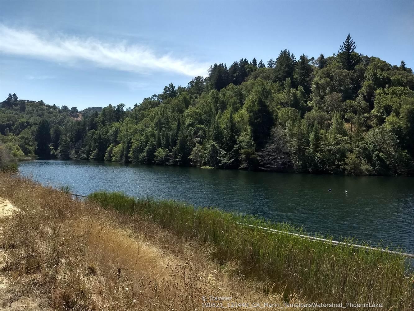 A wide, dark lake with green reeds and dense forest on sunny hills.