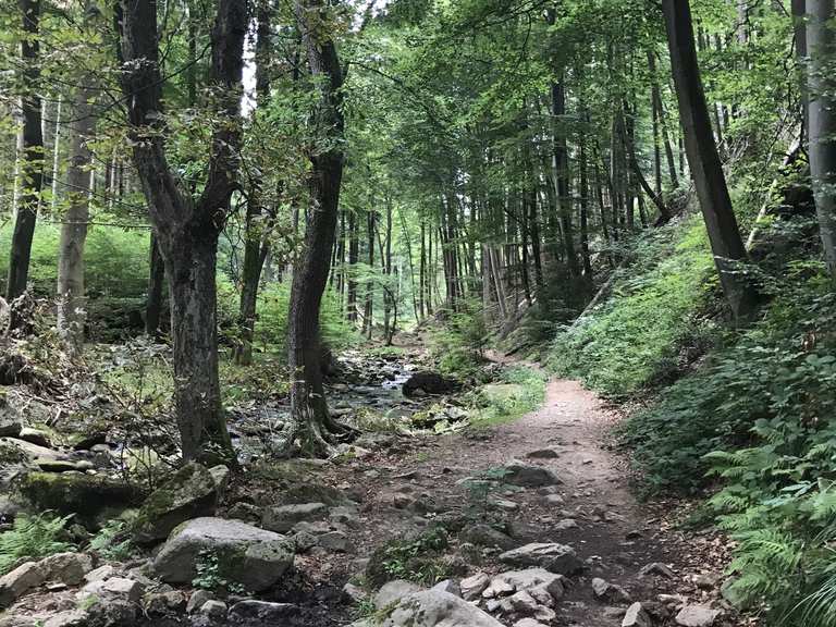 Heinrich Heine Weg: Wanderungen und Rundwege | komoot