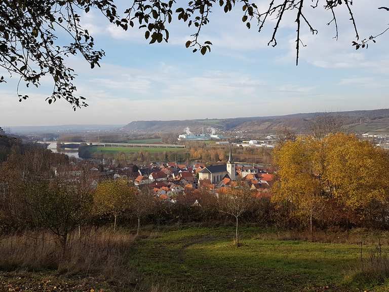 Wallburg Mountain Bike Trails & Tracks Komoot