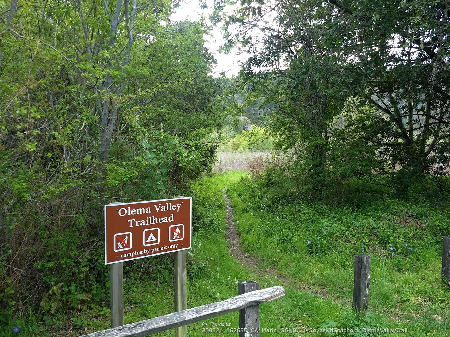 A trailhead sign stands beside a grassy path leading into dense green woods.