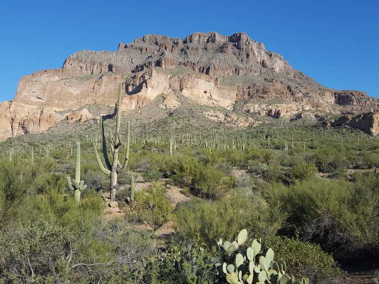 Picket Post Mountain & Trailhead Wanderungen und Rundwege komoot