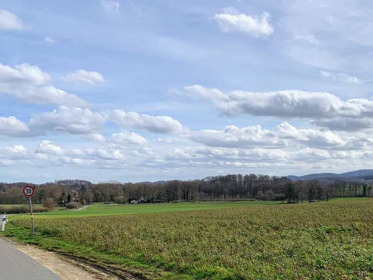 Panorama Sutthausen Kleiner Teich am Hörner Weg Runde von Osnabrück
