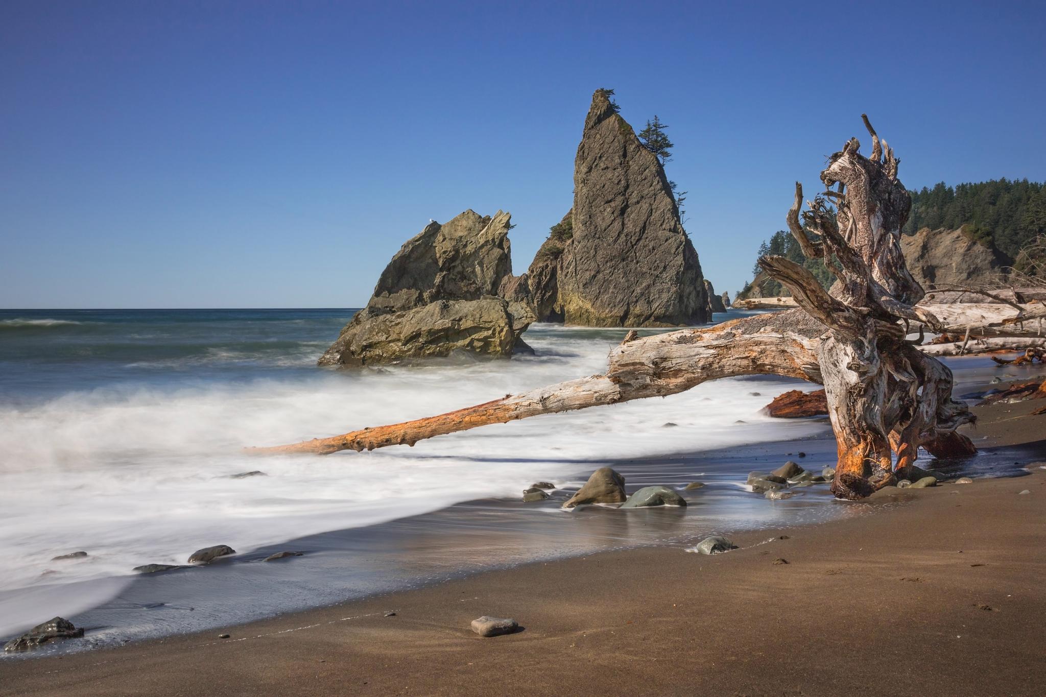 Sunny beach with large driftwood, foamy waves, and towering sea stacks.