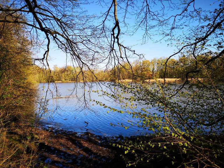 Bredenbeker Teich Ahrensburg, SchleswigHolstein RadtourenTipps